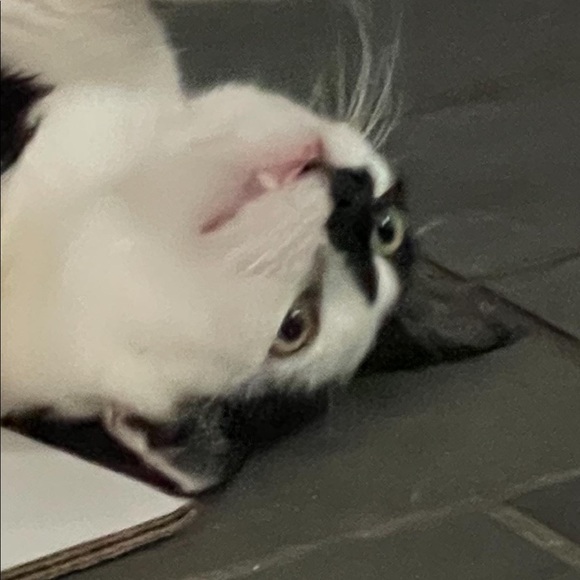 BOOKMARK MY PAGEEππ‘ππ¦π¦ - Picture 15 of 15